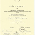 Powiększ obraz: certificate 1