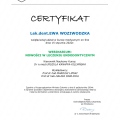 Powiększ obraz: certificate 10