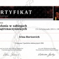 Powiększ obraz: certificate 8