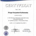 Powiększ obraz: certificate 4