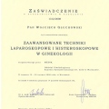 Powiększ obraz: certificate 6