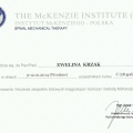 Powiększ obraz: certificate 9