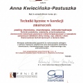 Powiększ obraz: certificate 4
