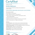 Powiększ obraz: certificate 10