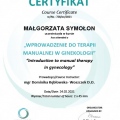 Powiększ obraz: certificate 9