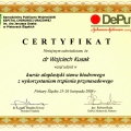 Powiększ obraz: certificate 29