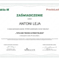 Powiększ obraz: certificate 2