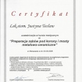 Powiększ obraz: certificate 11