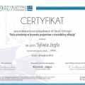 Powiększ obraz: certificate 6