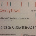 Powiększ obraz: certificate 1