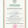 Powiększ obraz: certificate 1