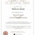 Powiększ obraz: certificate 21