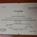 Powiększ obraz: certificate 8