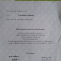 Powiększ obraz: certificate 2