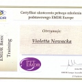 Powiększ obraz: certificate 7
