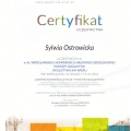 Powiększ obraz: certificate 7