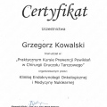 Powiększ obraz: certificate 3