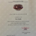 Powiększ obraz: certificate 10