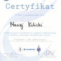 Powiększ obraz: certificate 11