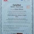 Powiększ obraz: certificate 9