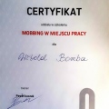 Powiększ obraz: certificate 28
