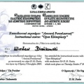 Powiększ obraz: certificate 16