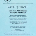 Powiększ obraz: certificate 26
