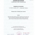 Powiększ obraz: certificate 13