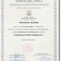 Powiększ obraz: certificate 10