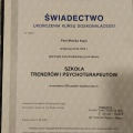 Powiększ obraz: certificate 2
