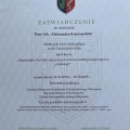 Powiększ obraz: certificate 11