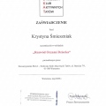 Powiększ obraz: certificate 2