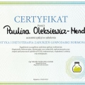 Powiększ obraz: certificate 16