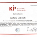 Powiększ obraz: certificate 1