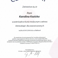 Powiększ obraz: certificate 1
