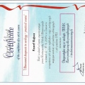 Powiększ obraz: certificate 3