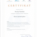 Powiększ obraz: certificate 47