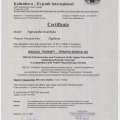Powiększ obraz: certificate 17