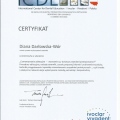 Powiększ obraz: certificate 6
