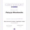 Powiększ obraz: certificate 2