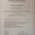 Powiększ obraz: certificate 4