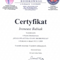 Powiększ obraz: certificate 4