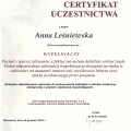 Powiększ obraz: certificate 13