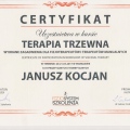 Powiększ obraz: certificate 9