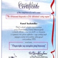 Powiększ obraz: certificate 1