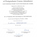Powiększ obraz: certificate 3