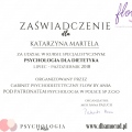 Powiększ obraz: certificate 11