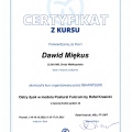 Powiększ obraz: certificate 10