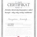 Powiększ obraz: certificate 3