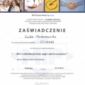 Powiększ obraz: certificate 1